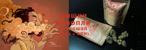 прущие грибы Арсеньев