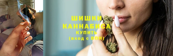 прущие грибы Арсеньев