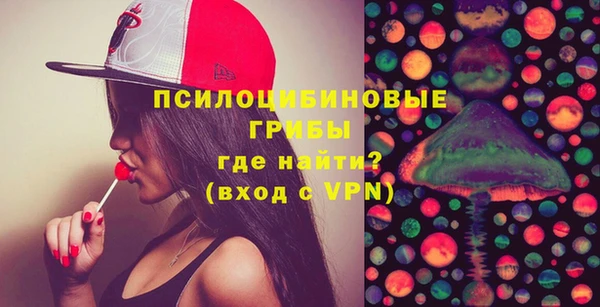 ПСИЛОЦИБИНОВЫЕ ГРИБЫ Армянск