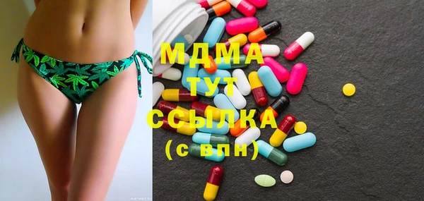 стаф Алзамай