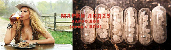 молекула духа Аркадак
