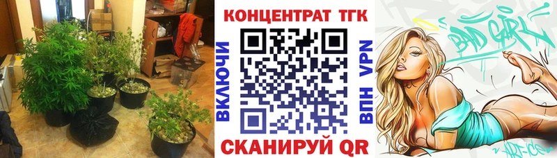 что такое   блэк спрут ссылка  ТГК концентрат  Моздок 