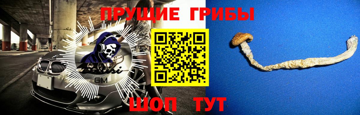 Моздок  Галлюциногенные грибы прущие грибы  цена   Вход с VPN 