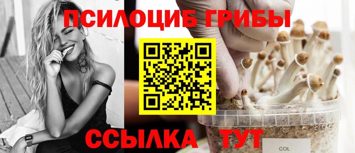 Галлюциногенные грибы мицелий Моздок